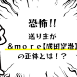 解決！＆ｍｏｒｅ【成田空港】の送り主の正体とは！？